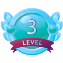 Level 3
