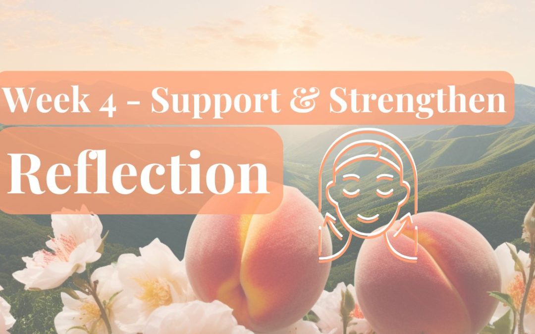 May 26 – Week 4 – Reflection