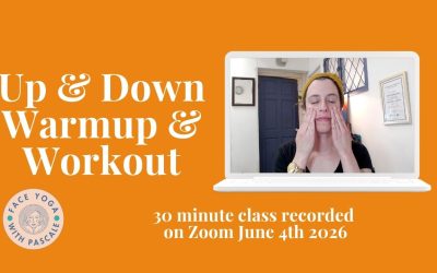 Up and Down, Warm Up and Workout